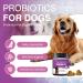 Probiotics for Dogs Dog Probiotic Chews and Digestive Enzymes Prebiotic Health Gut Itchy Skin Probioticos Itching Diarrhea Chew Supplements Canine Pet Prebiotics 200 Natural Soft Chewable Tablets - Buy Online on GoSupps.com