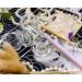 Clear Acrylic Liquid Powder Dappen Dish Set - 2 Glass Nail Art Bowls with Lids for Perfect Nail Designs - Buy Online on GoSupps.com