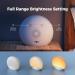 REACHER Sunrise Alarm Clock | White Noise Sound Machine | 26 Sleeping Sounds | Multicolor Night Light | Digital Clock for Baby Kids Adult - Buy Online on GoSupps.com