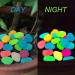 Halcyerdu 200 Bright Fluorescent Pebbles - Colorful Night Light Stones for Aquarium & Garden Decoration - Buy Online on GoSupps.com