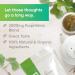 Organic Brain Tea with Gotu Kola, Ginkgo Biloba, Lion's Mane Mushroom & MCT - Memory & Focus Booster | Nootropic Tea - Buy Online on GoSupps.com
