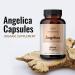 HERBAMAMA Angelica Capsules - Digestive Health, Heart & Blood Circulation Support - for Women with Dong Quai Root - Gluten Free, Vegan, Non-GMO - 1000mg 100 Caps - Buy Online on GoSupps.com