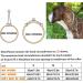 HAPPY HACHI Half Check Dog Collar | Martingale Collar for Medium to Large Dogs | Training and Walking Collar | Silver, Size S 30-43cm - Buy Online on GoSupps.com