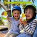 Sunscreen Applicator - 50g Sunscreen Dispenser Roller | Refillable Roll on Sponge Applicator Sun Cream Applicator Kids Sunscreen Lotion Applicator Portable Sunscreen Roller Travel Bottle for Kids Green - Buy Online on GoSupps.com