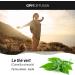 Organic Green Tea 250 mg - 100 Vegetable Capsules - Buy Online on GoSupps.com
