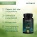 Ambrosial Giloy Tablets 500mg | Natural Guduchi Extract | Immunity Booster & Antioxidant | Relieves Cough & Cold | 60 Capsules - Buy Online on GoSupps.com