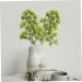 Alipis 5pcs Simulated Pine Leaves Boutique Accessories Plastic Dark Green Medium - Buy Online on GoSupps.com