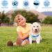 Camouflage Dog Cooling Vest Breathable Mesh Pet Cooling Jacket Elastic Summer Sun-Proof Ice Vest Cool Down Vest for Cat and Small Dogs Outdoor Activities Multi-colored Small - Buy Online on GoSupps.com