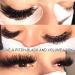 Easy Fan Lashes C-0.07-12 | Russian Eyelash Extensions | Self Fanning Lashes 12mm | Volume Lash Extension - Buy Online on GoSupps.com
