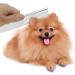 GEMEK Pet Grooming Scissors Set - Professional Stainless Steel Trimmer Kit for Cats and Dogs - 7.5 inch Straight, Thinning, and Curved Scissors with Grooming Combs - Buy Online on GoSupps.com