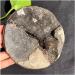 Natural Crystal Rough Natural Stones and Minerals Large Beautiful Dragon septarian geode Egg Around 200-1000g Home Decoration Very Lucky Stone JZIGTDEM - Buy Online on GoSupps.com
