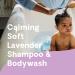 Hello Bello Extra Gentle Shampoo & Body Wash - Lavender Scent - 20 FL Oz (2 Pack) - Hypoallergenic Pediatrician Tested Formula for Babies & Kids - Buy Online on GoSupps.com