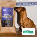 Hearty Hunter's Dry Dog Food - 40% Beef Grain-Free 7kg Pack | Ideal for Adult Small Hunting Dogs - Hey Holy - Buy Online on GoSupps.com