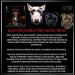Advanced Animal Care Dog Muscle Builder All Breeds Muscle Gainer for Dogs Dominate Bully Maximum Gain Strength Energy Chew - Buy Online on GoSupps.com