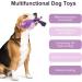 Tonyfy Dog Toys - Squeaky Plush & Interactive Cotton Rope Toys for Puppies & Small Dogs (Purple Hippo) - Buy Online on GoSupps.com