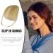 Bang Clip in Hair Extensions - French Bangs Clip on Fake Bangs Fringe Clip on Air Bangs | Neat Bangs Hair Extension Natural Color Fringe Hairpieces Hair Bangs for Daily Wear Wig Accessoriess gray gold - Buy Online on GoSupps.com