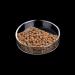 WEAVERBIRD Aquarium Shrimp Feeder Dish Glass Fish Tank Feeding Bowls Round Clear Dishes Tray (60MM) - Buy Online on GoSupps.com