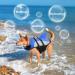 Dog Lifeguard Vest for Dogs | Reflective Adjustable Buoyant - Blue XL (66-78cm) | Swim & Surf Safely - Buy Online on GoSupps.com