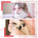 12-Piece Set of Cat/Dog Sunglasses & Goggles for Small Breeds - Funny Photo Props & Costume Accessory - Buy Online on GoSupps.com