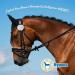 Hypona MAGVET Natural Magnesium Supplement for Horses Calms & Balances Calcium-Magnesium Levels for Optimal Performance - Buy Online on GoSupps.com