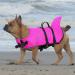 Cit toile Adjustable Life Jacket for Small Dogs - Breathable Comfortable & Buoyant for Sea/Lake/River - Red M Rosa-1 m - Buy Online on GoSupps.com