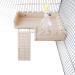 ROZKITCH Hamster Platform & Climbing Ladder Combo - Natural Pine Wood Toy for Small Pets & Birds - Buy Online on GoSupps.com