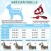 Eyein No-Pull Dog Harness & Leash - Soft Padded Reflective Adjustable for Puppies Small & Large Dogs Cats - XXS Red - Buy Online on GoSupps.com