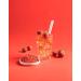 Buy Syrup BoboQ Fruits 2.5kg - Strawberry Flavor Bubble Tea Supplement | International Shipping Available - Buy Online on GoSupps.com