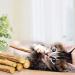 Meowijuana King Size Silvervine Sticks Bundle - Natural Matatabi Chew for Cats | High Potency Cat Treat | Dental Health | Catnip Alternative - Buy Online on GoSupps.com