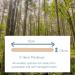 RELMOS Birch Wood Waxing Spatulas Tongue Depressors - Large Thick Size - 80 Count - Buy Online on GoSupps.com