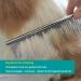 Redreo Stainless Steel Pet Comb for Dogs - Effective Deshedding & Knot Removal Tool for Poodles & All Breeds - Buy Online on GoSupps.com