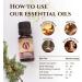 Ecodrop Pure Cypress Essential Oil 10ml - 100% Natural Therapeutic Grade Italian Cupressus Sempervirens Oil | Organic Aromatherapy Diffuser & Massage Oil for Emotional Well-Being & Skin Health - Buy Online on GoSupps.com