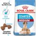 Royal Canin Medium Starter Mother and Babydog 4 kg 4 kg (Pack of 1) - Buy Online on GoSupps.com