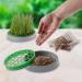 R&R SHOP - Double Seeds Dog Grass Kit - Germination Pot 2 Types of Grass for Dogs Stimulant and Digestive 4 Bags of Seeds and Substrate Suitable for All Dogs - Buy Online on GoSupps.com