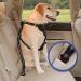 Dog Seat Belt for Cars UK|Adjustable Dog Travel Safety Belt|Dog Car Harness for Child Safety Seat|Adjustable Universal Dog Seatbelt for Car Travel (Black) - Buy Online on GoSupps.com