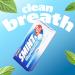 Smint Sugar Free Mints 2 Hour Clean Breath 50 XXL Peppermint Flavour - 12 Tins - Buy Online on GoSupps.com