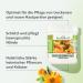 KRETERHOF Marigold Ointment 100ml - Skin Protection & Care for Dry Rough Skin Hands & Lips - Buy Online on GoSupps.com