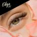 i-ENVY Half Lashes - Dramatic Fit False Eyelashes for a Natural Wispy Cat Eye Look | Lightweight & Comfortable Everyday Wear - Buy Online on GoSupps.com