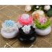 Buy Just 2 Pieces Lotus Qtip Holder - Stylish Cotton Swab & Toothpick Organizer (Green & Black) for Bathroom Decor - International Shipping Available - Buy Online on GoSupps.com
