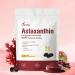 10 in 1 Astaxanthin Supplements 24mg, 4 Month Supply, Astaxantina Antioxidant from Fresh Haematococcus Pluvialis, Contains Lycopene, Grape Seed, Vitamin E, & More Supports Eye, Joints, Skin Health 24mg | 1 Bag | 240 Softgels