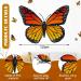 Monarch Butterfly Hair Clips - Orange Barrettes for Women, Girls, Teens - Halloween 3D Butterfly Clips - Cute and Kawaii Hair Accessories - Day of the Dead Party Favors (24) - Buy Online on GoSupps.com