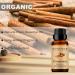 100% Pure and Natural Cinnamon Essential Oil - 10ML Aromatherapy Diffuser - 0.33 Fl Oz Cinnamon 0.33 Fl Oz (Pack of 1) - Buy Online on GoSupps.com