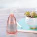 ZWFSDM 500ml Spray Bottles (2-Pack) - Versatile Plastic Atomizer for Gardening Cleaning Hairdressing | Pink/Green & Blue - Buy Online on GoSupps.com