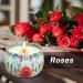 VETOUR Rose Soy Scented Candle 4.4oz | Aromatherapy Wax Jar Candle | 30 Hours Burn Time | Relaxing Stress Aroma | Gift for Women Mom | Home Bath Yoga Christmas | Bohemian Retro Style - Buy Online on GoSupps.com