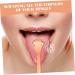 1 Set Tongue Travel Scraper - Stainless Steel Oral Cleaning Tool for Fresh Breath | Best Travel Accessories - Buy Online on GoSupps.com