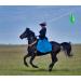 Horse Training Flag with Extendable Stainless Flagpole 5 Color Equestrian Training Flags Pole Horse Training Equipment with Telescoping Handheld Flagpole for Horse Lunging Training - Buy Online on GoSupps.com