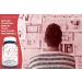 Alpha GPC Capsules 150mg | Choline Supplement for Brain Health | Improve Memory, Focus, and Cognition | 60 Count - Buy Online on GoSupps.com