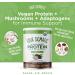 Four Sigmatic Creamy Cacao Plant-Based Protein with Superfoods - 21.16 oz (600 g) - Buy Online on GoSupps.com