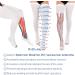 15-20 mmHg Thigh High Compression Stockings | Moderate Compression Socks for Comfort & Support (L) - Shop Internationally - Buy Online on GoSupps.com