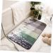 BESPORTBLE Non-Slip Mat Front Door Rug Outsoor Rugs Floor Rug Welcome Doormat Non-Slip Bath Mat Mud Pad Toilet - Buy Online on GoSupps.com